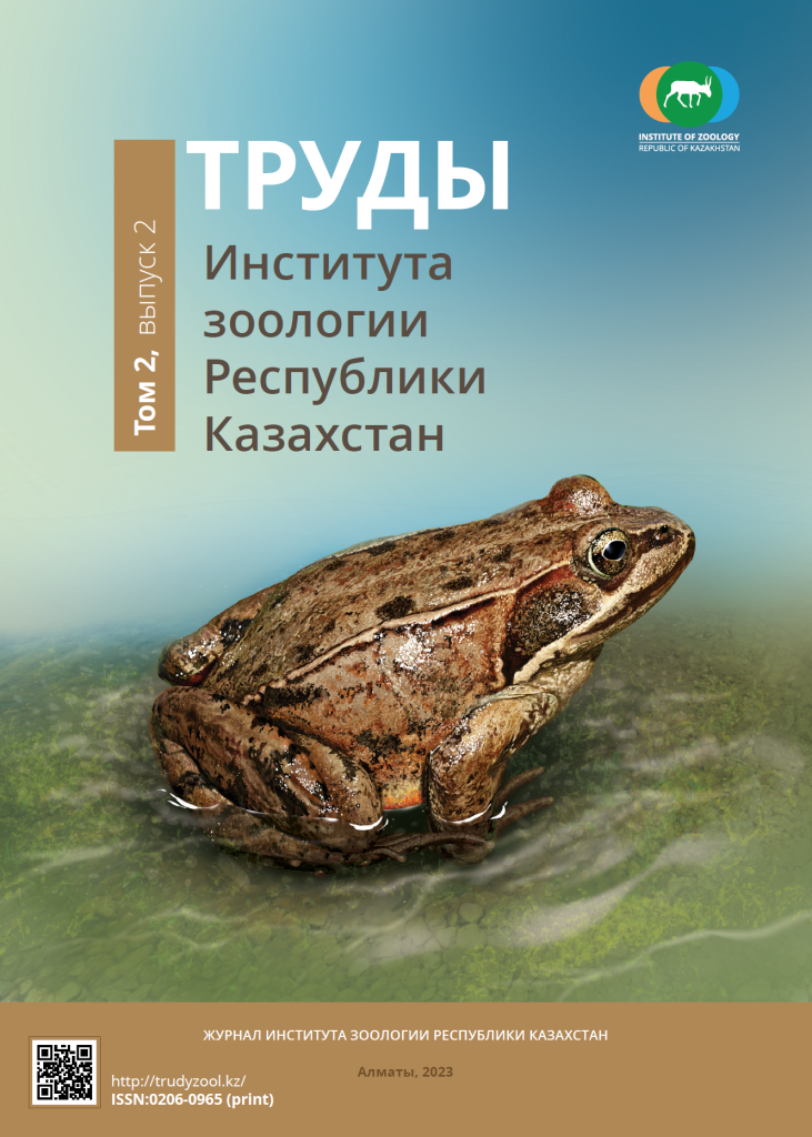 Архив